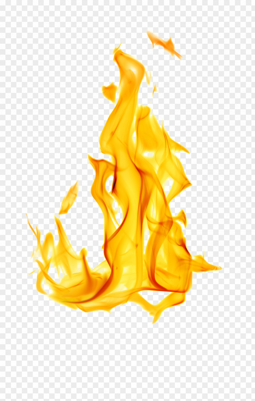 Flame Fire White Stock Photography PNG