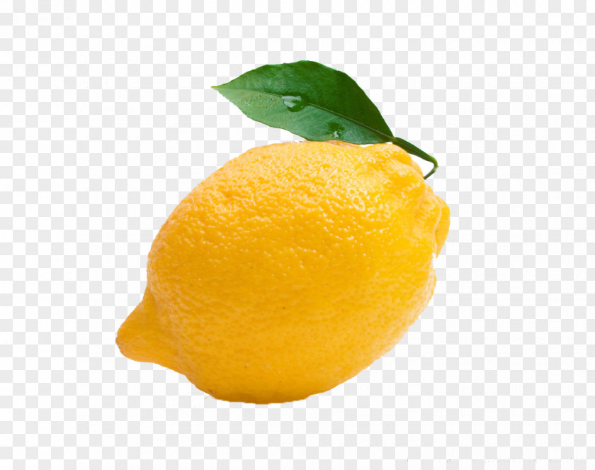 Fresh Lemon Clementine Tangerine Tangelo PNG