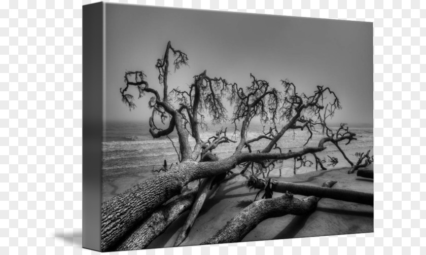 Painting Landscape Photography Black And White Art PNG