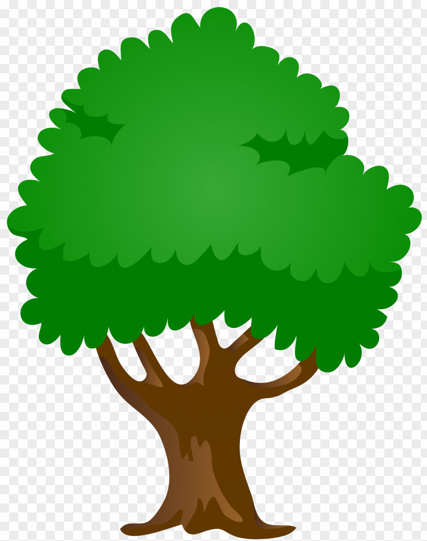 Tree Clip Art Image Text Green Leaf PNG