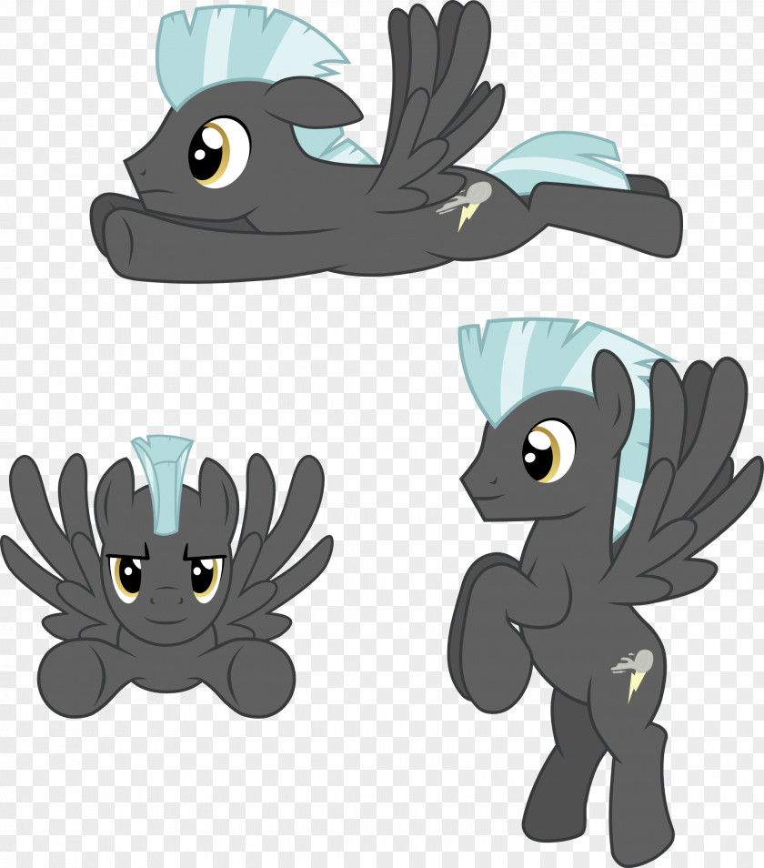 Vector Pegasus Rainbow Dash Pony Fluttershy Applejack PNG