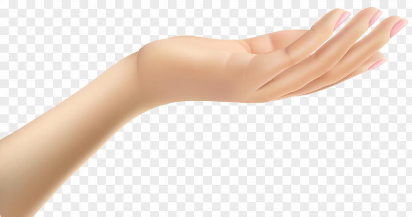 Female Hand Thumb Arm Clip Art PNG