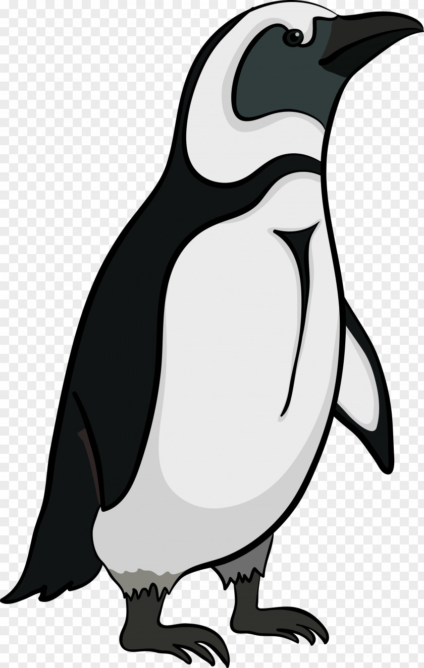 Penguins Emperor Penguin Antarctica PNG
