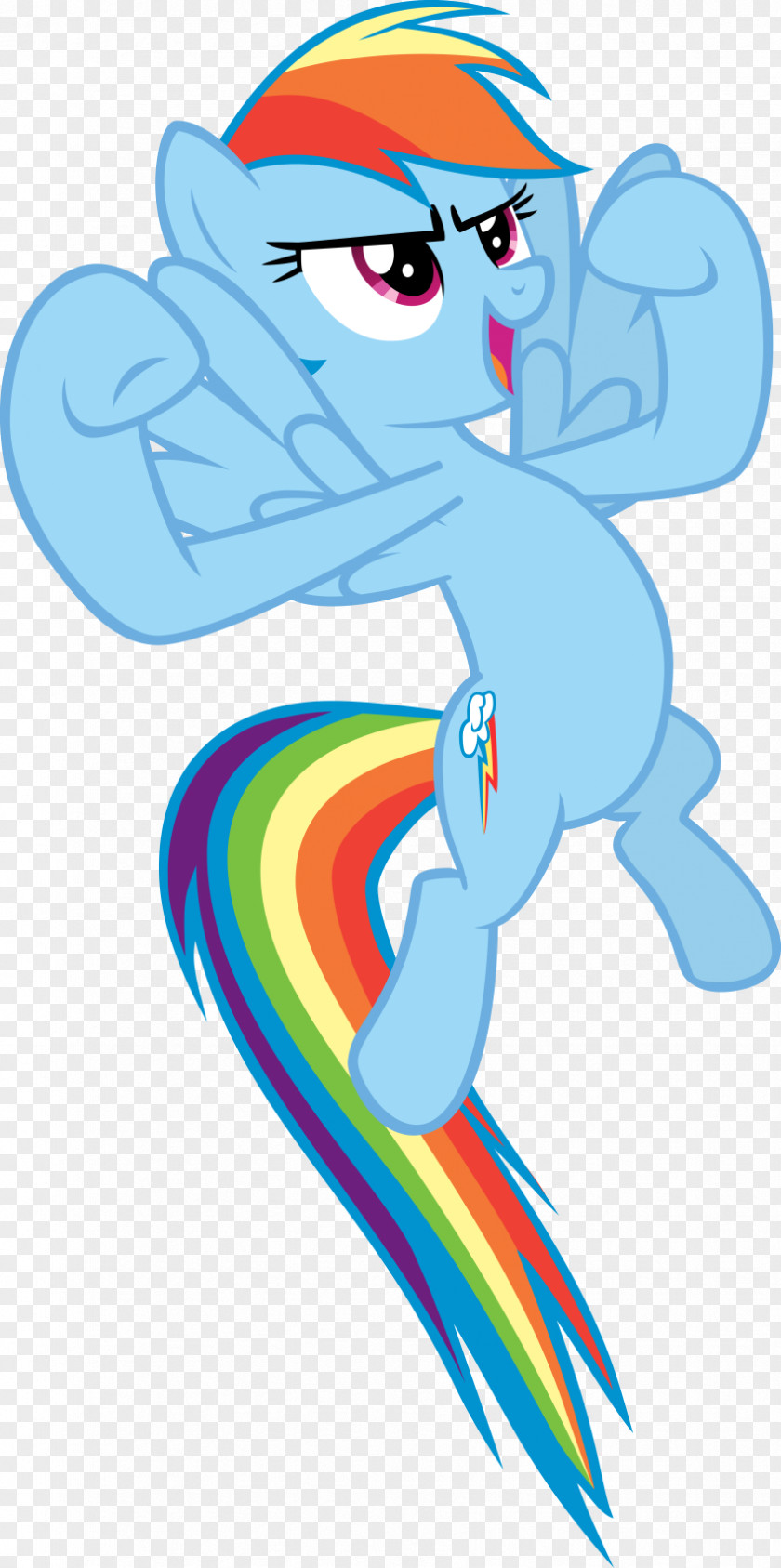 Rainbow Dash Applejack Pony PNG