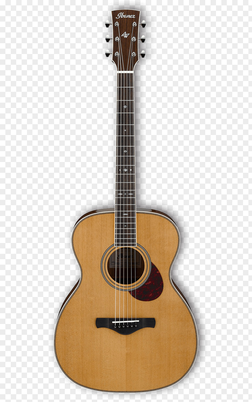 Sunshine Recorder Hour Classical Guitar Acoustic Flamenco Luthier PNG