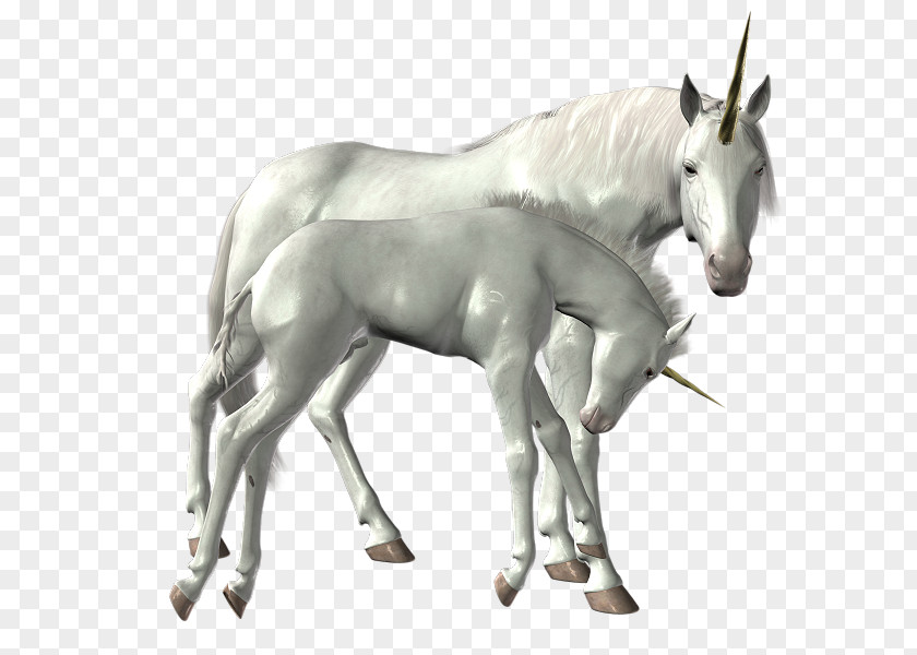 Unicorn Horse Icon PhotoScape PNG