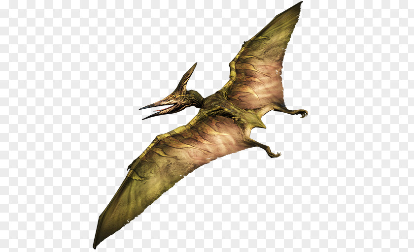 Dinosaur Pteranodon Primal Carnage: Extinction Pterodactyl PNG