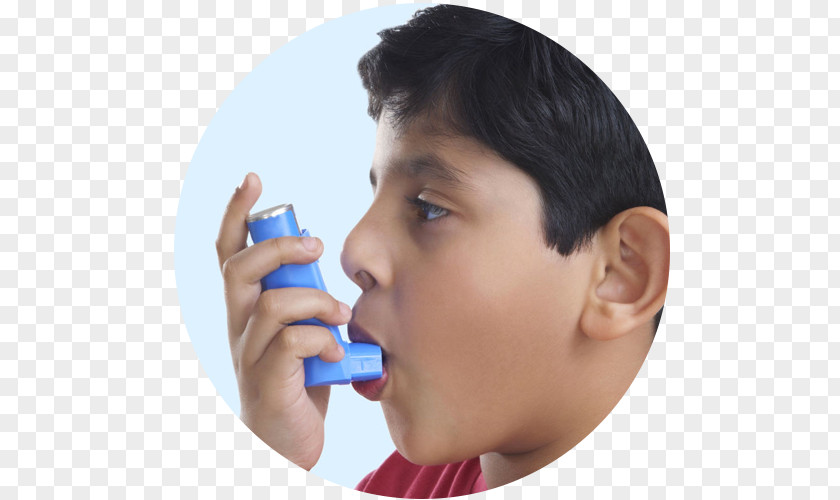 Irregular Particles Metered-dose Inhaler Asthma Pharmaceutical Drug Allergy PNG