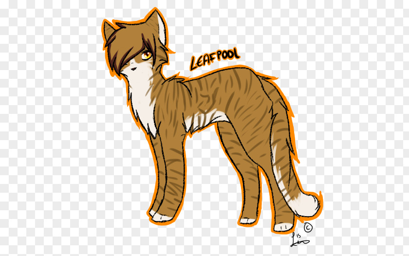 Kitten Whiskers Wildcat Lion PNG