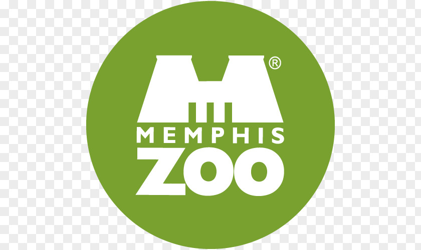Memphis Zoo Overton Park Urban Giant Panda PNG