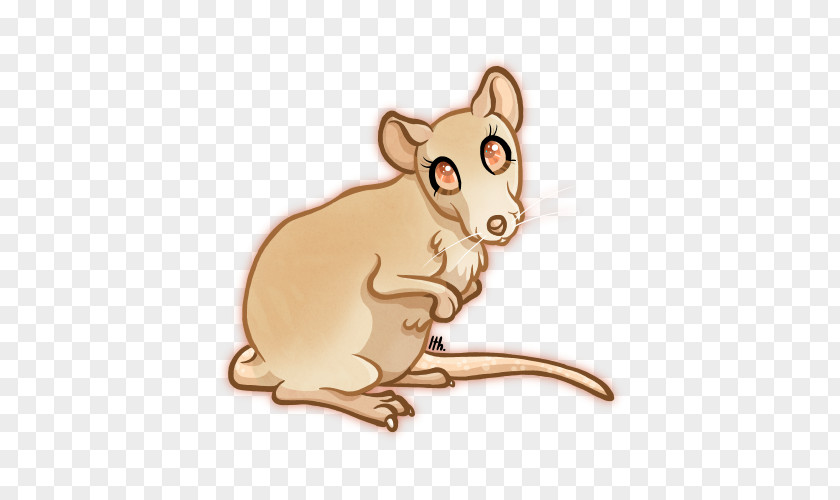 Mouse Rat Dog Marsupial Fauna PNG