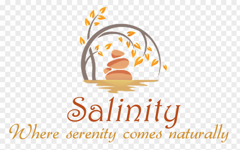 Salinity Halotherapy Massage Reflexology PNG
