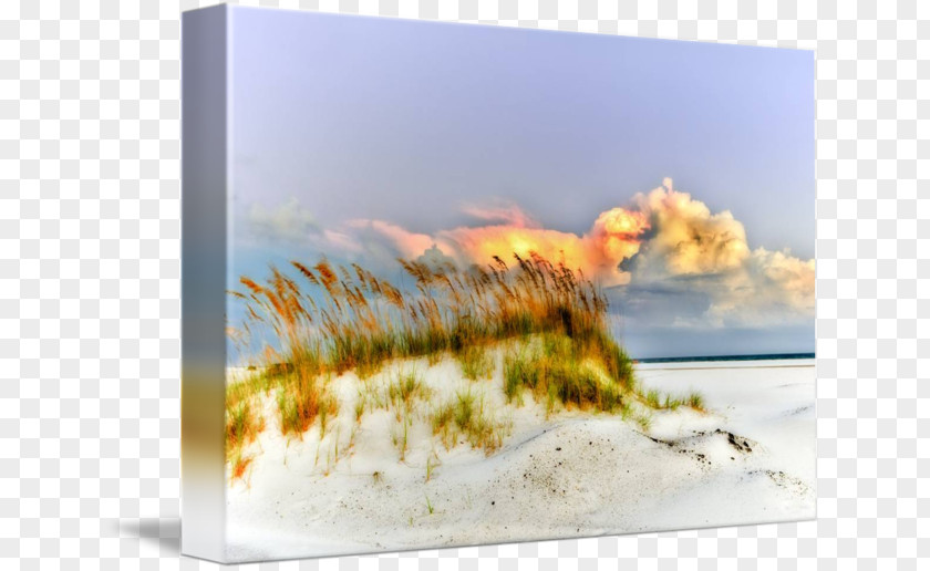 Sea Eszra Gallery Wrap Picture Frames Art Canvas PNG