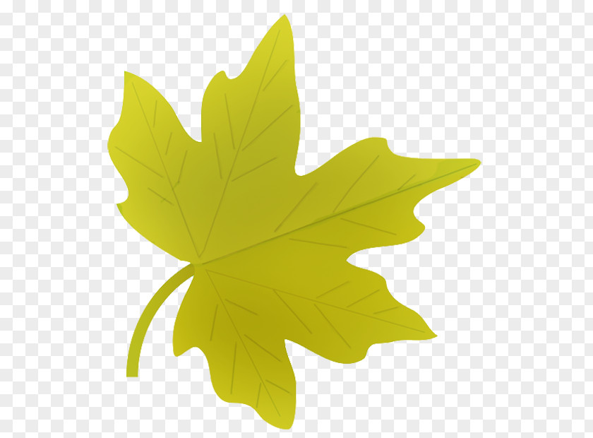 Autumn Leaf Clip Art PNG