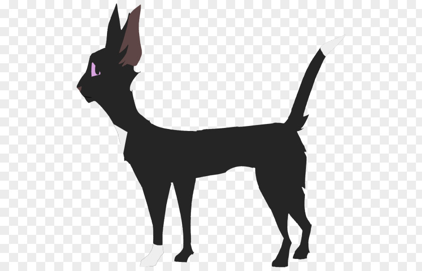 Cat Whiskers Dog Breed Warriors PNG