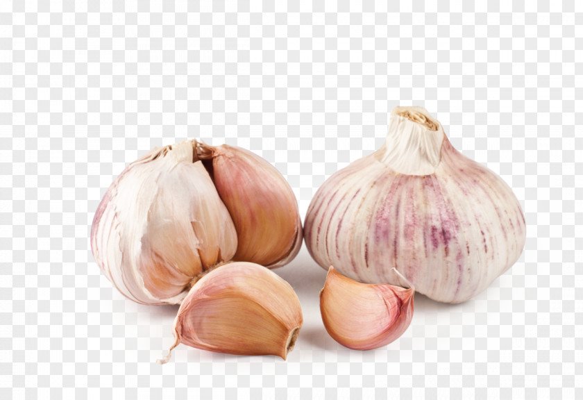 Garlic Elephant Shallot Mediterranean Cuisine Vegetable PNG