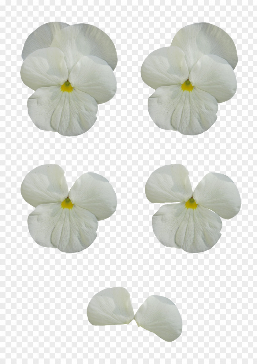 Mint Flowers Pansy Cut Clip Art PNG
