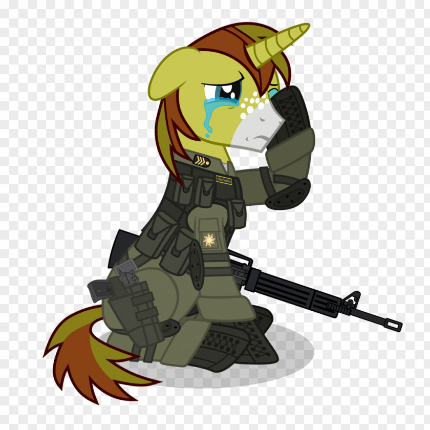 Soldier Pony Rainbow Dash Military Derpy Hooves PNG