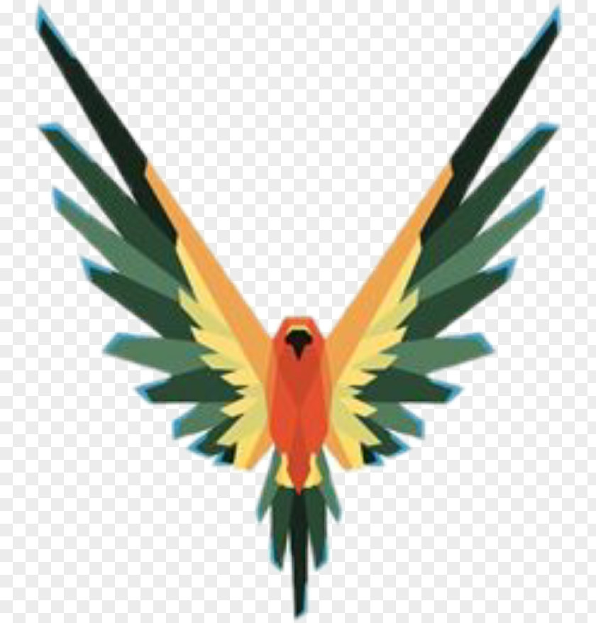 T-shirt Bird Hoodie Parrot Image PNG