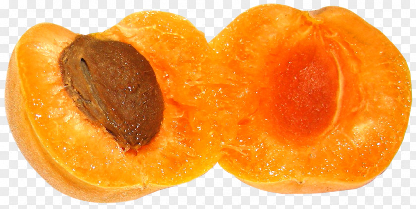 Apricot Fruit Clementine Peach PNG