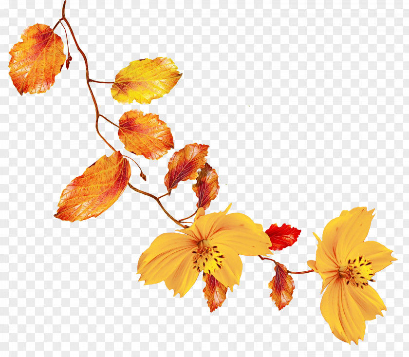 Artificial Flower Wildflower Watercolor Background PNG