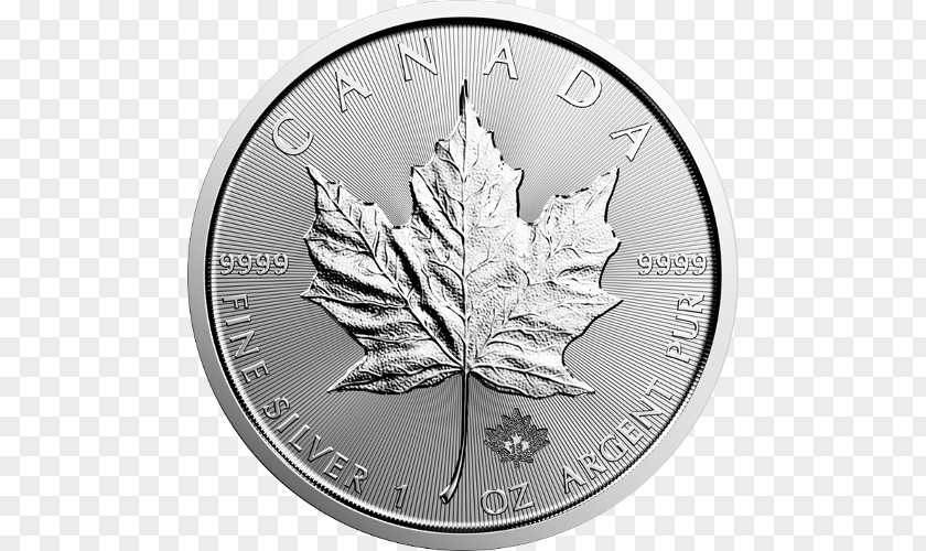 Coin Canadian Silver Maple Leaf Gold PNG