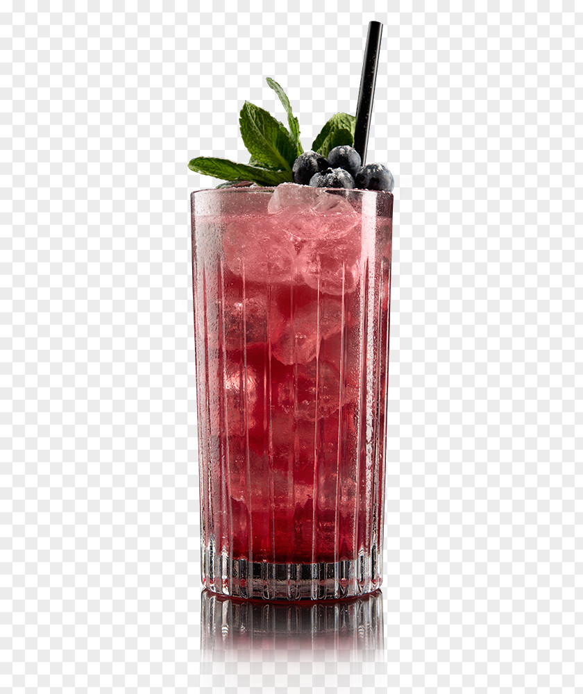 Juice Cocktail Garnish Wine Fizzy Drinks PNG