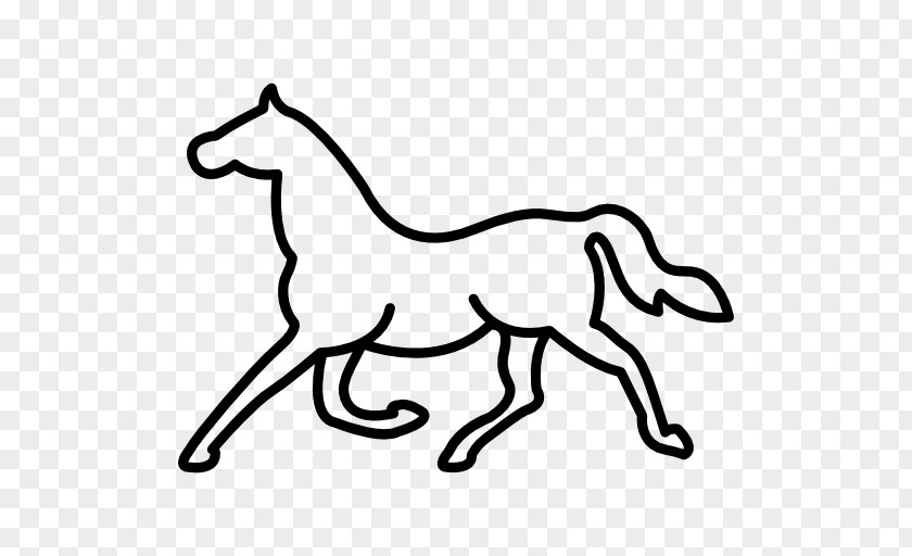 Mustang Pony Drawing Trot Clip Art PNG