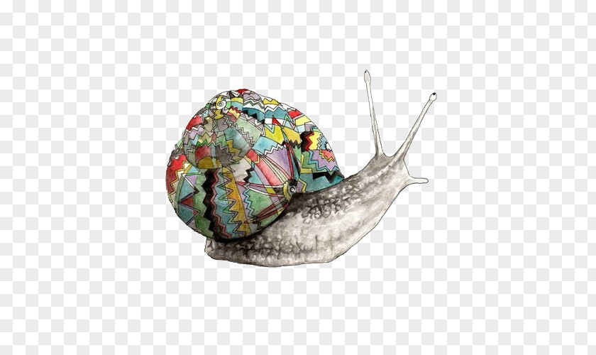 Snail Land Drawing Art PNG