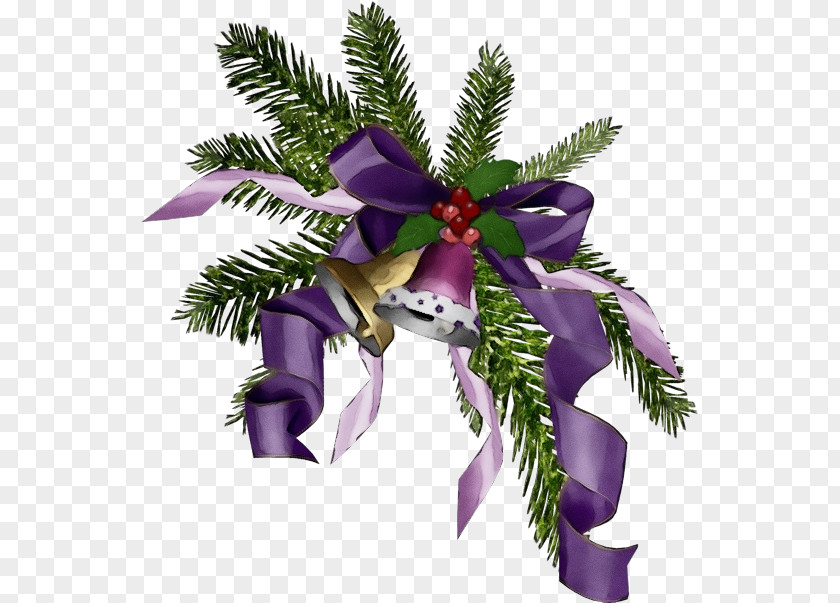 Vascular Plant Pine Christmas Decoration PNG