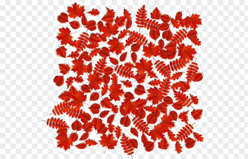 Vector Creative Autumn Red Maple Leaf Euclidean PNG