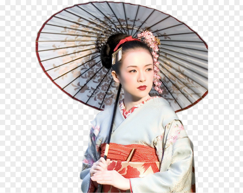 Zhang Ziyi Memoirs Of A Geisha Chiyo Mameha Hatsumomo PNG