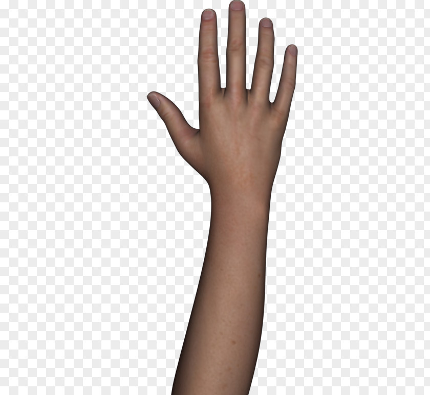 Body Hand Arm Human PNG