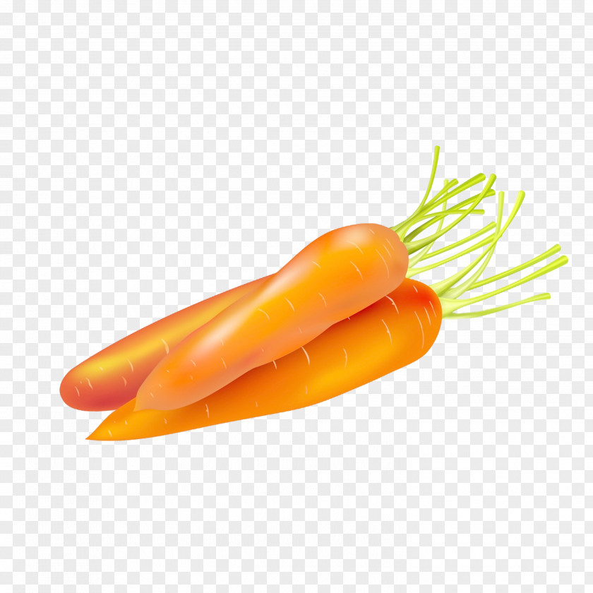 Carrot Cake Food Vegetable PNG