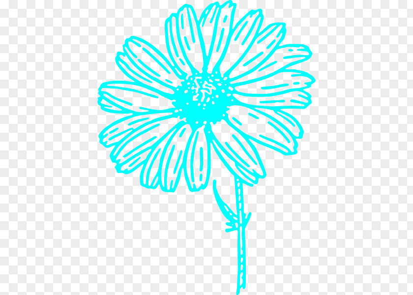 Common Daisy Drawing Clip Art PNG