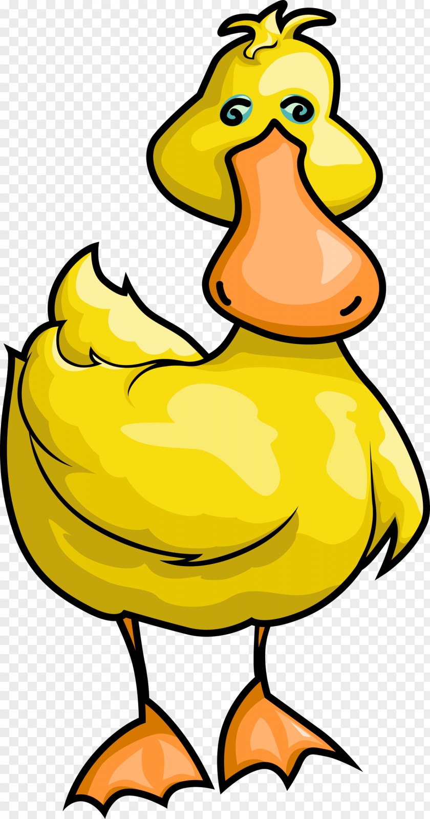 Duck Bird Goose Yellow PNG