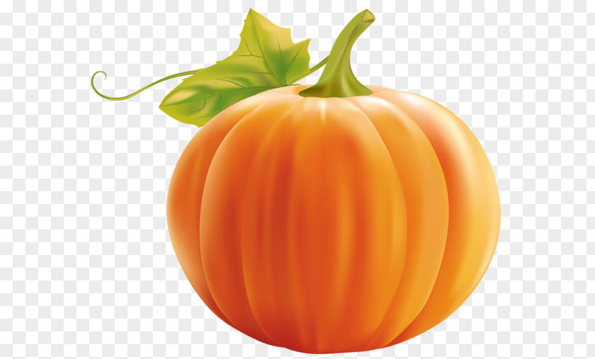 Pumpkin Calabaza Cucurbita Pepo Clip Art PNG