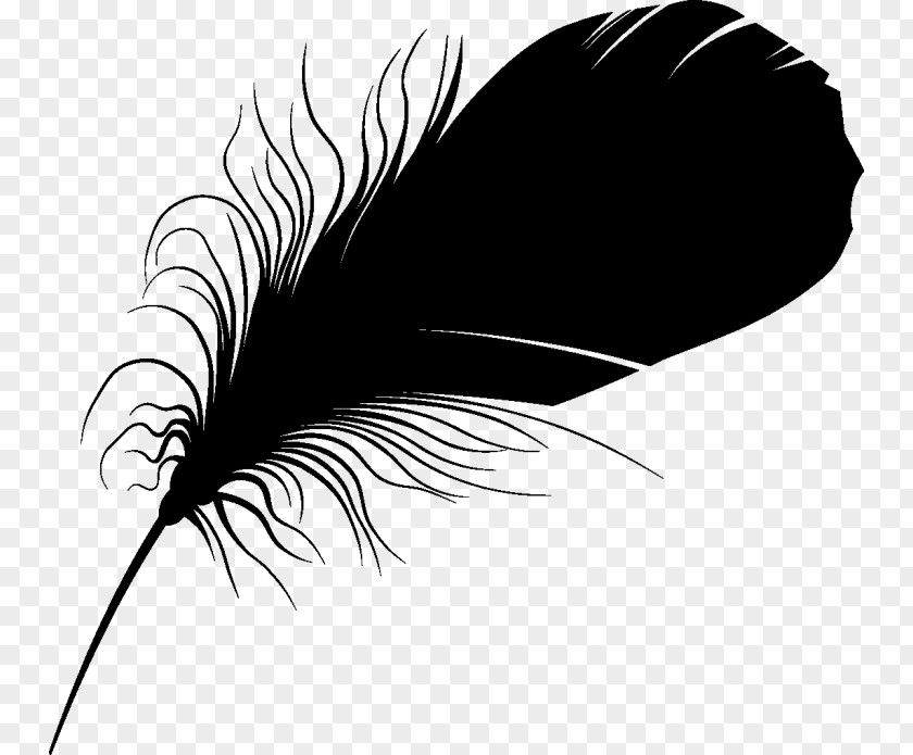 Feather Font Eyelash Beak Silhouette PNG