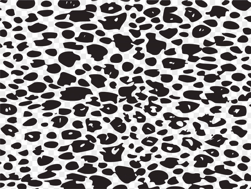 Leopard Cheetah Black And White Animal Print Pattern PNG