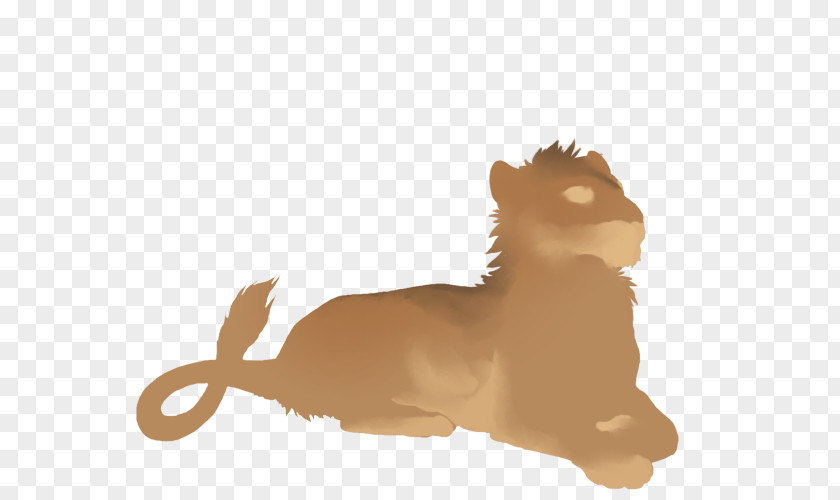 Lion Whiskers Cat Cougar Black Panther PNG