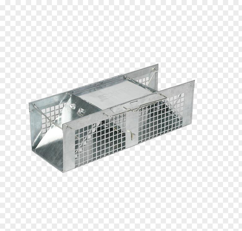 Mouse Trap Rodent Trapping Raccoon Rat PNG
