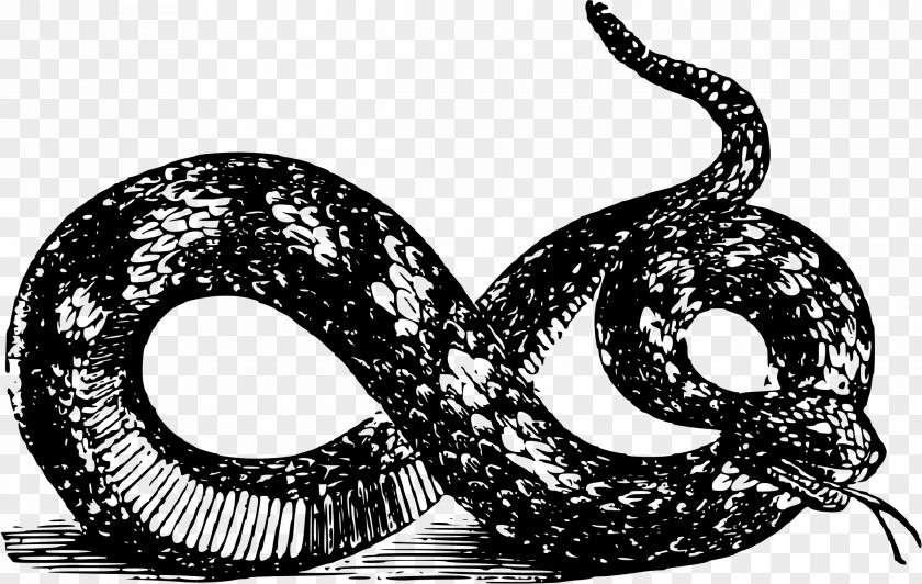 Snake T-shirt Libertarianism Gadsden Flag PNG