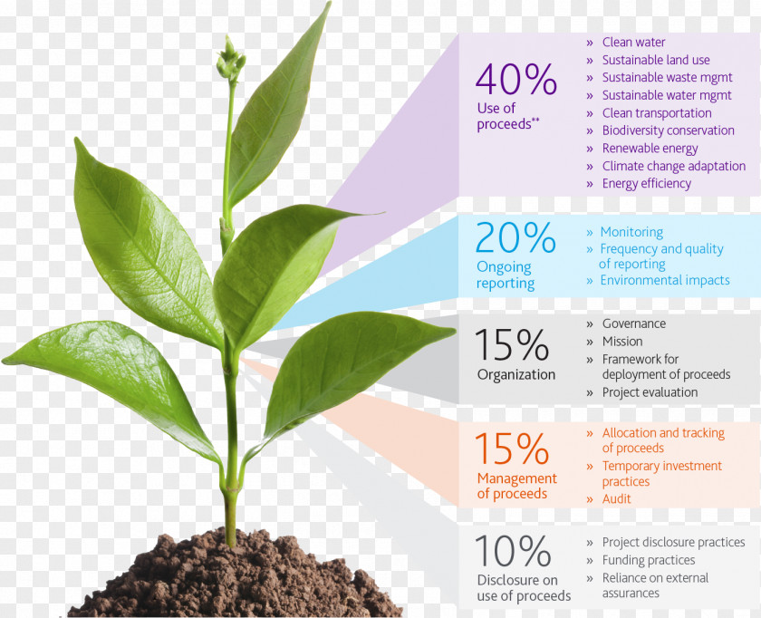 Broad Green Pictures Sustainability Corporate Social Responsibility Environmental, And Governance Moody's Investors Service Bond PNG