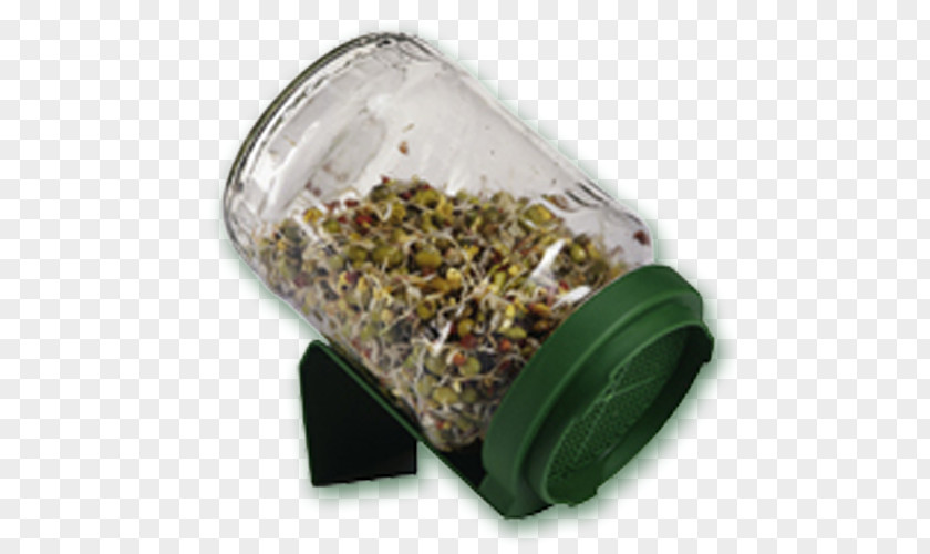 Healthy Balanced Diet Organic Food Sprouting Seed Germinator Jar PNG