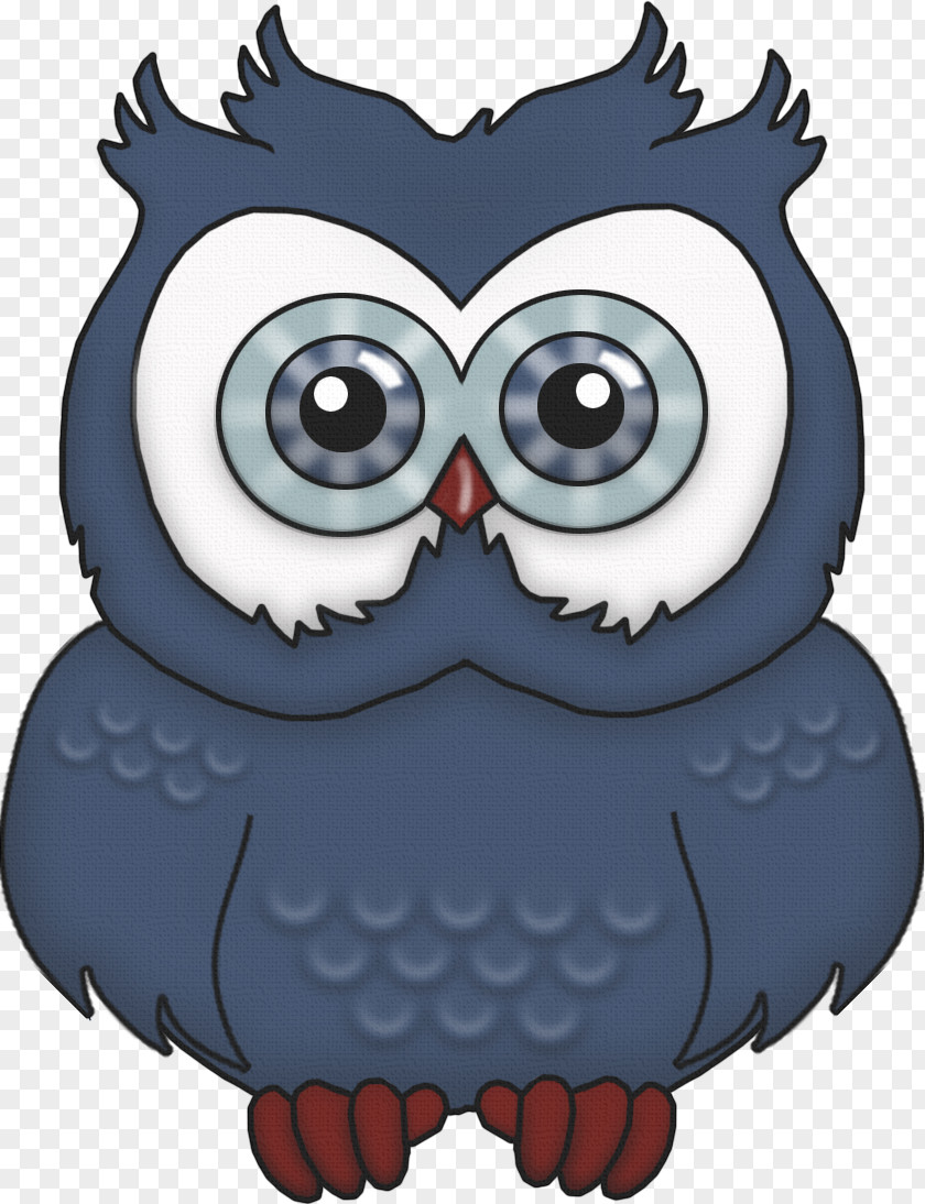 Owl Barn Bird Snowy Clip Art PNG