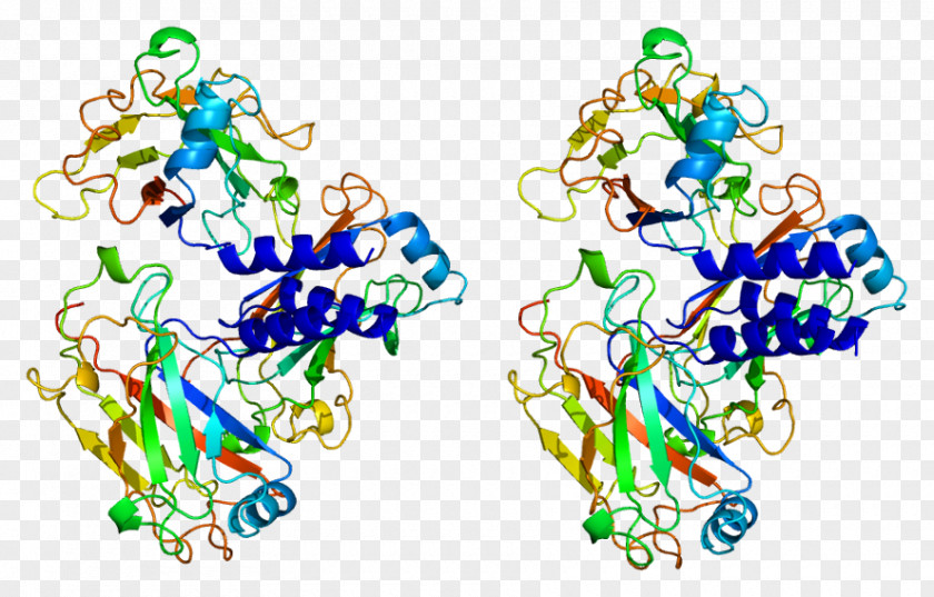 Tissue Plasminogen Activator TRAF2 Inhibitor-2 PNG