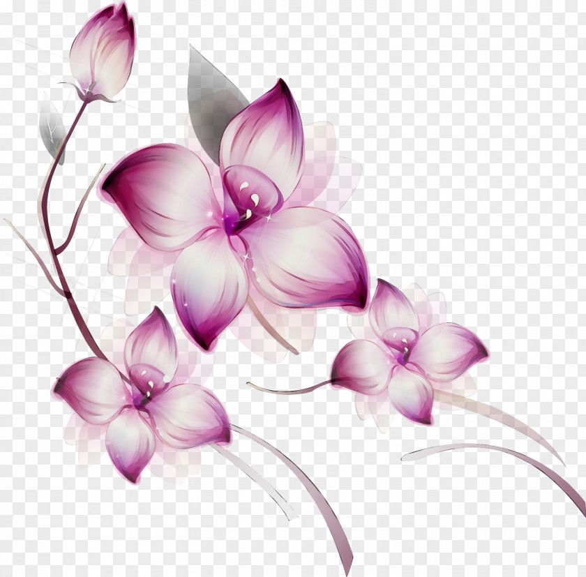 Violet Lilac Purple Petal Flower PNG