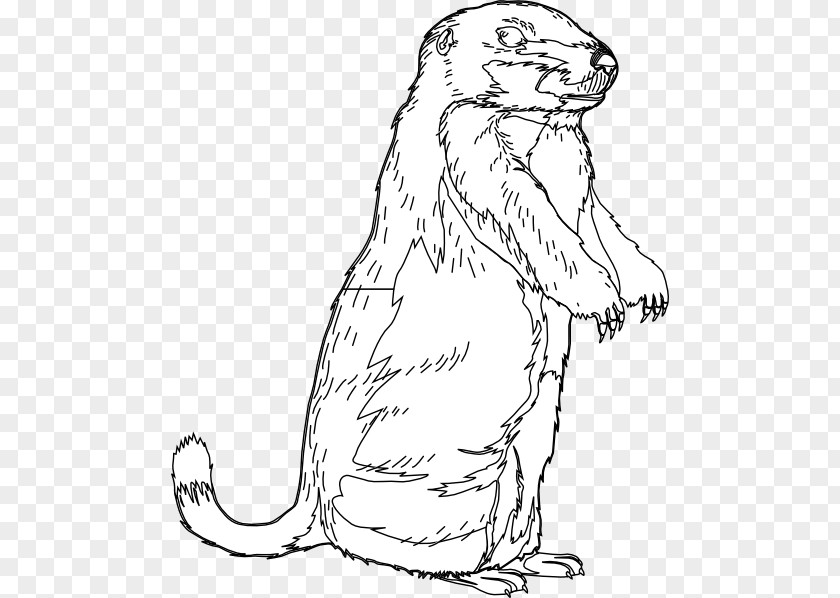 Groundhog Day The Clip Art Openclipart PNG