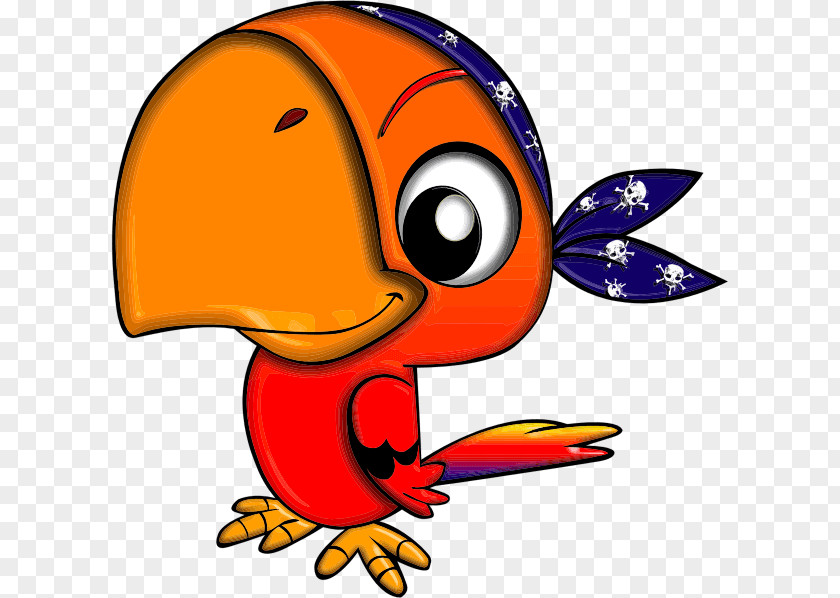 Parrot Pirate Clip Art Bird Animal Child PNG