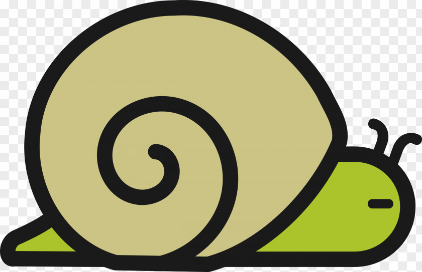 Snail Gastropods Seashell Gastropod Shell Clip Art PNG